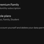 Spotify Lifetime Premium